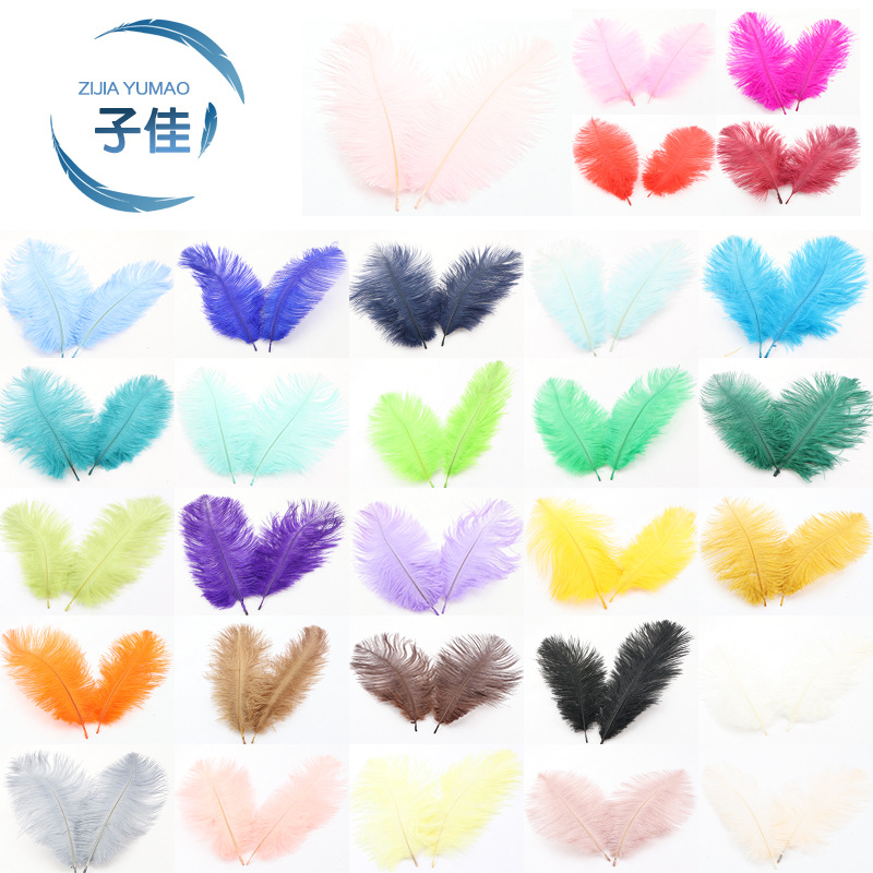 Supply Ostrich Feather 15-20cm Ostrich Feather Decorative Feather Net Red Wall Yiwu in Stock Wholesale Ostrich Hair