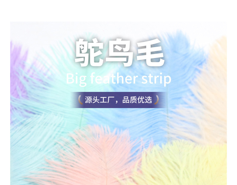 Supply Ostrich Feather 15-20cm Ostrich Feather Decorative Feather Net Red Wall Yiwu in Stock Wholesale Ostrich Hair