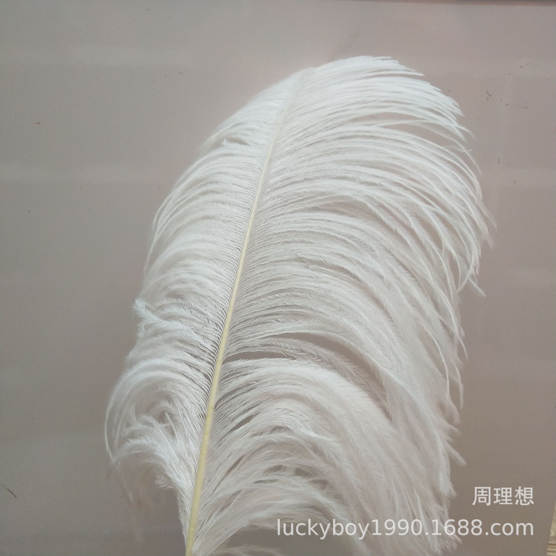 Select 40-45 cm ostrich hair spot wedding decoration stage performance clothing accessories colorful feathers