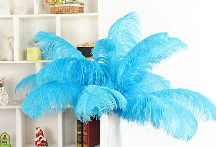 The wedding table flower decoration in The window of Natural Ostrich Feather Hotel in South Africa can be dyed Ostrich hair wholesale 15-20cm The wedding table flower decoration in The window of Natural Ostrich Feather Hotel in South Africa can be dyed Ostrich hair wholesale 15-20cm