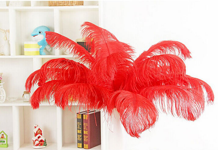 The wedding table flower decoration in The window of Natural Ostrich Feather Hotel in South Africa can be dyed Ostrich hair wholesale 15-20cm The wedding table flower decoration in The window of Natural Ostrich Feather Hotel in South Africa can be dyed Ostrich hair wholesale 15-20cm