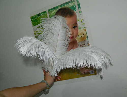 The wedding table flower decoration in The window of Natural Ostrich Feather Hotel in South Africa can be dyed Ostrich hair wholesale 15-20cm The wedding table flower decoration in The window of Natural Ostrich Feather Hotel in South Africa can be dyed Ostrich hair wholesale 15-20cm