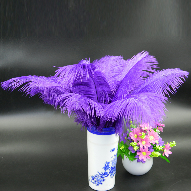 The wedding table flower decoration in The window of Natural Ostrich Feather Hotel in South Africa can be dyed Ostrich hair wholesale 15-20cm The wedding table flower decoration in The window of Natural Ostrich Feather Hotel in South Africa can be dyed Ostrich hair wholesale 15-20cm