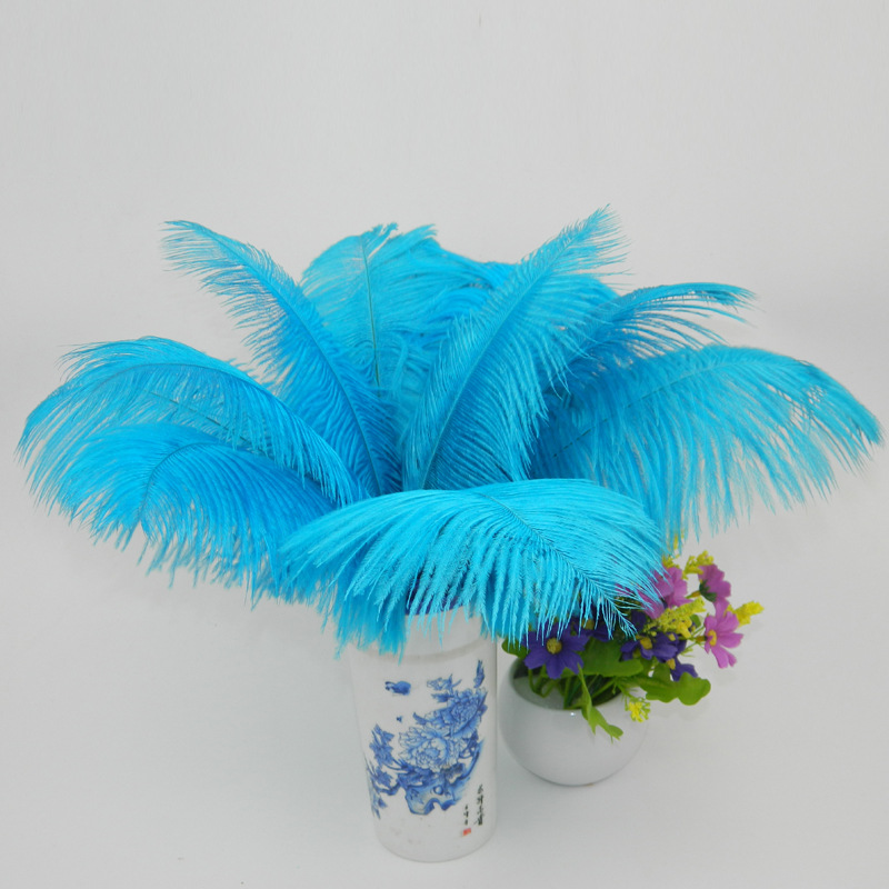 The wedding table flower decoration in The window of Natural Ostrich Feather Hotel in South Africa can be dyed Ostrich hair wholesale 15-20cm The wedding table flower decoration in The window of Natural Ostrich Feather Hotel in South Africa can be dyed Ostrich hair wholesale 15-20cm