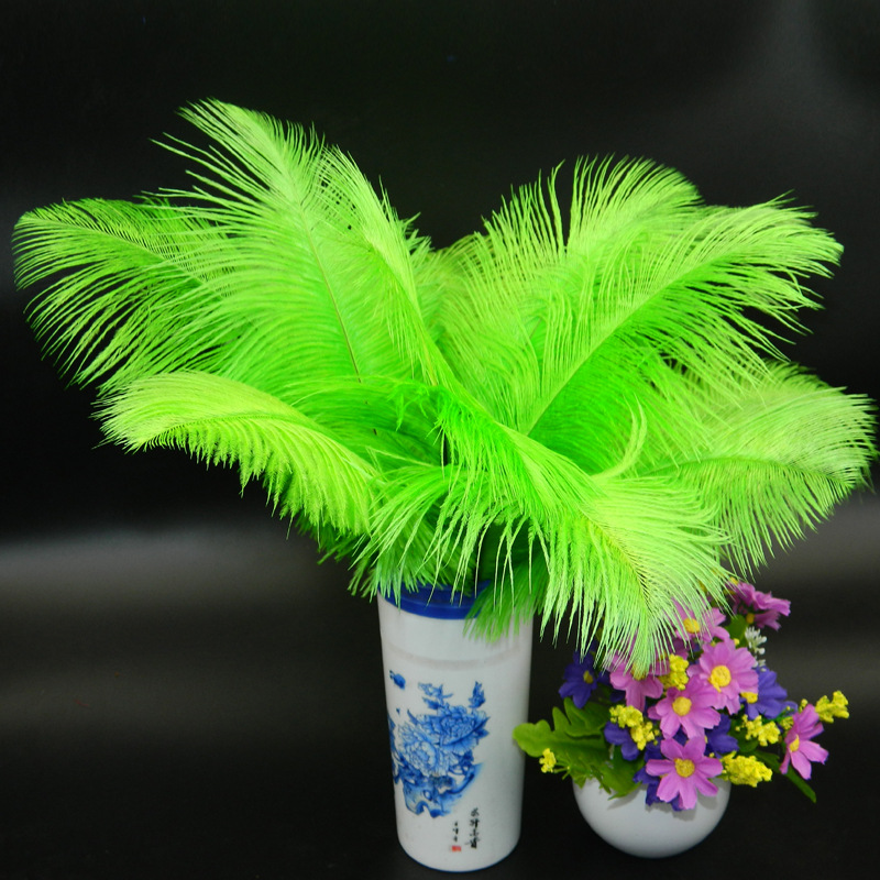 The wedding table flower decoration in The window of Natural Ostrich Feather Hotel in South Africa can be dyed Ostrich hair wholesale 15-20cm The wedding table flower decoration in The window of Natural Ostrich Feather Hotel in South Africa can be dyed Ostrich hair wholesale 15-20cm