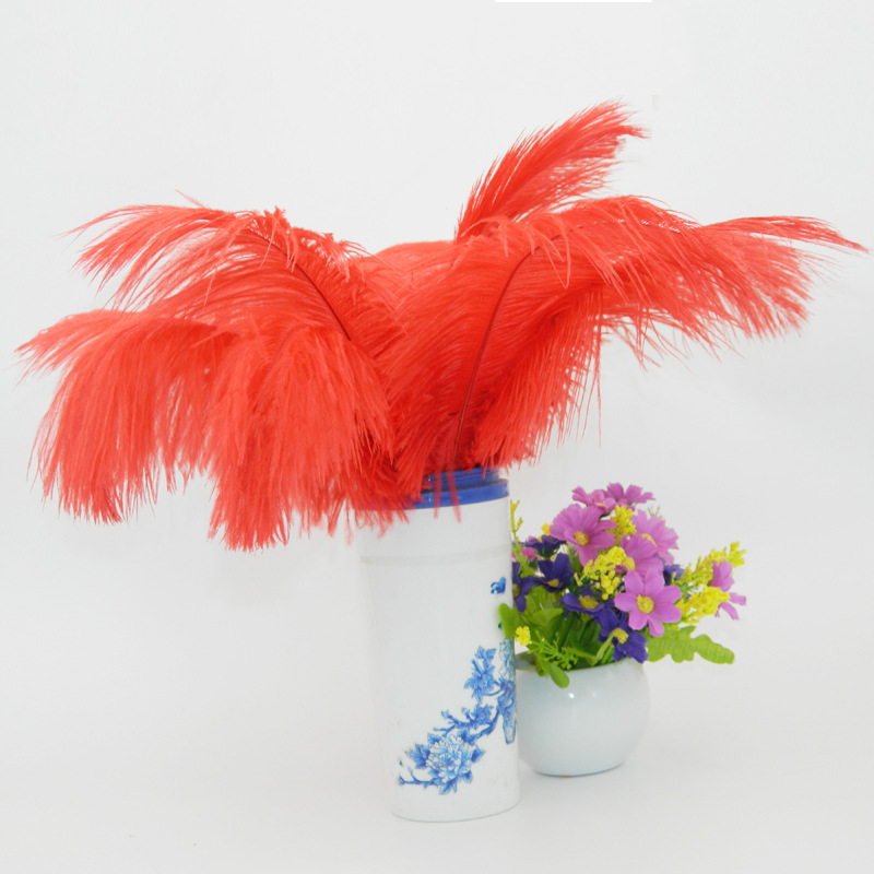 The wedding table flower decoration in The window of Natural Ostrich Feather Hotel in South Africa can be dyed Ostrich hair wholesale 15-20cm The wedding table flower decoration in The window of Natural Ostrich Feather Hotel in South Africa can be dyed Ostrich hair wholesale 15-20cm