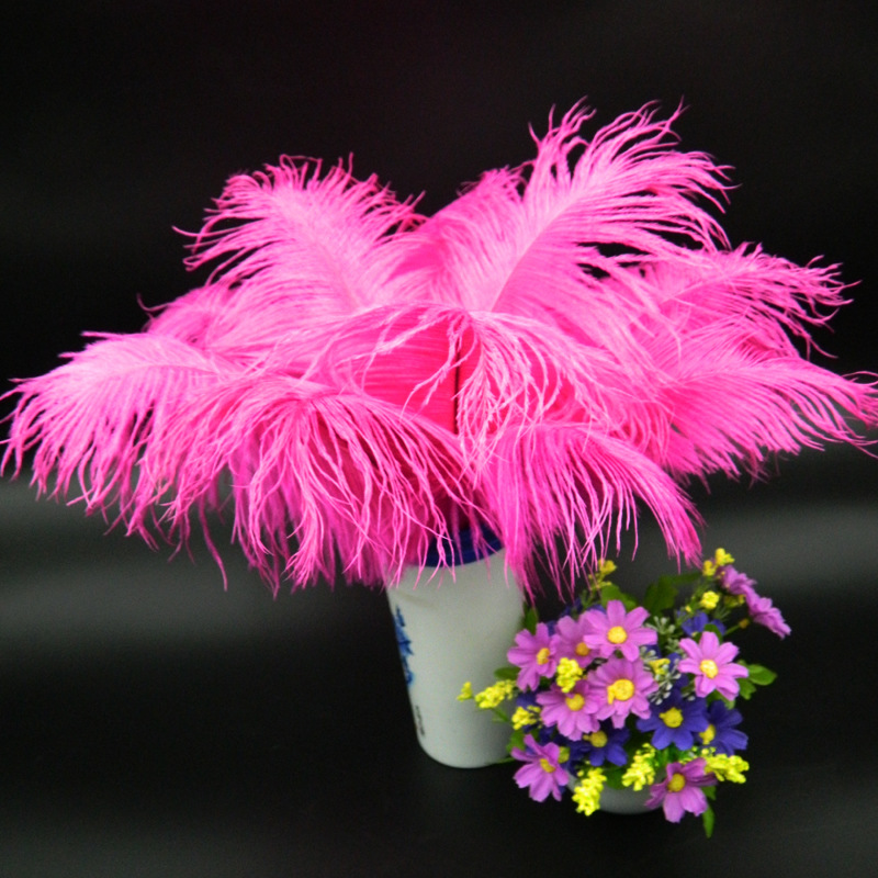 The wedding table flower decoration in The window of Natural Ostrich Feather Hotel in South Africa can be dyed Ostrich hair wholesale 15-20cm The wedding table flower decoration in The window of Natural Ostrich Feather Hotel in South Africa can be dyed Ostrich hair wholesale 15-20cm