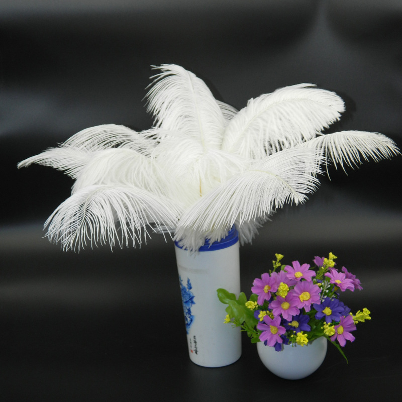 The wedding table flower decoration in The window of Natural Ostrich Feather Hotel in South Africa can be dyed Ostrich hair wholesale 15-20cm The wedding table flower decoration in The window of Natural Ostrich Feather Hotel in South Africa can be dyed Ostrich hair wholesale 15-20cm