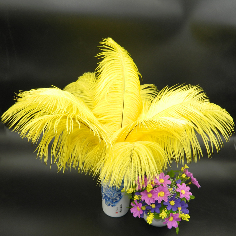 The wedding table flower decoration in The window of Natural Ostrich Feather Hotel in South Africa can be dyed Ostrich hair wholesale 15-20cm The wedding table flower decoration in The window of Natural Ostrich Feather Hotel in South Africa can be dyed Ostrich hair wholesale 15-20cm