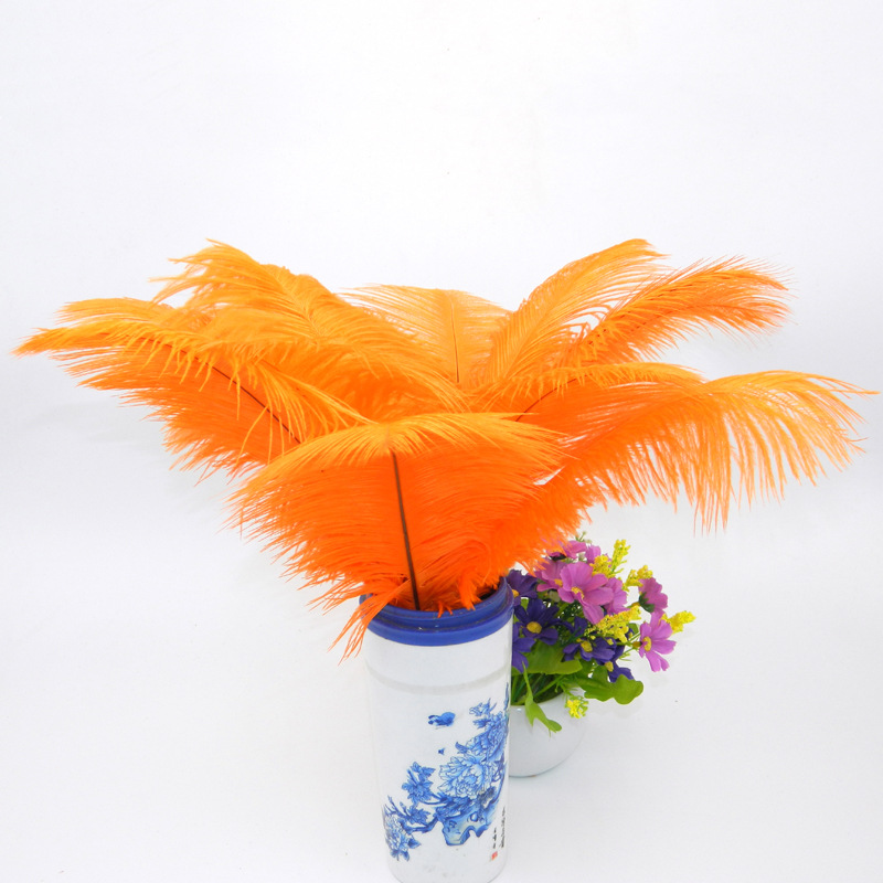 The wedding table flower decoration in The window of Natural Ostrich Feather Hotel in South Africa can be dyed Ostrich hair wholesale 15-20cm The wedding table flower decoration in The window of Natural Ostrich Feather Hotel in South Africa can be dyed Ostrich hair wholesale 15-20cm