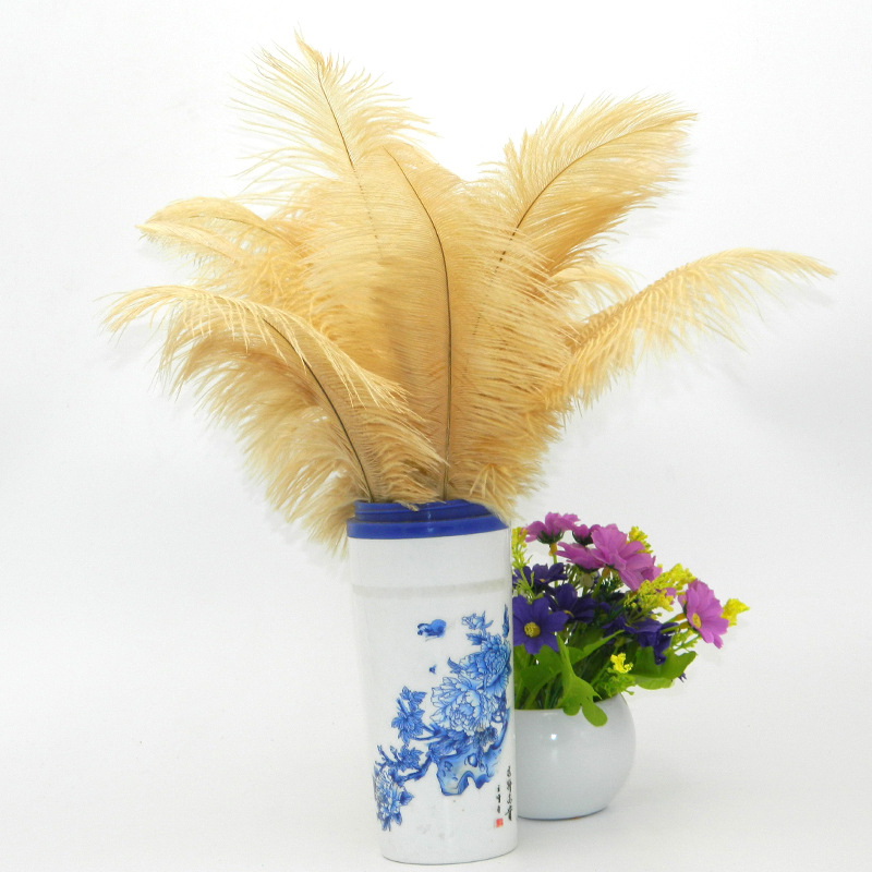 The wedding table flower decoration in The window of Natural Ostrich Feather Hotel in South Africa can be dyed Ostrich hair wholesale 15-20cm The wedding table flower decoration in The window of Natural Ostrich Feather Hotel in South Africa can be dyed Ostrich hair wholesale 15-20cm