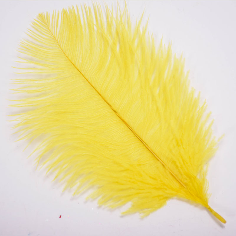 The wedding table flower decoration in The window of Natural Ostrich Feather Hotel in South Africa can be dyed Ostrich hair wholesale 15-20cm The wedding table flower decoration in The window of Natural Ostrich Feather Hotel in South Africa can be dyed Ostrich hair wholesale 15-20cm