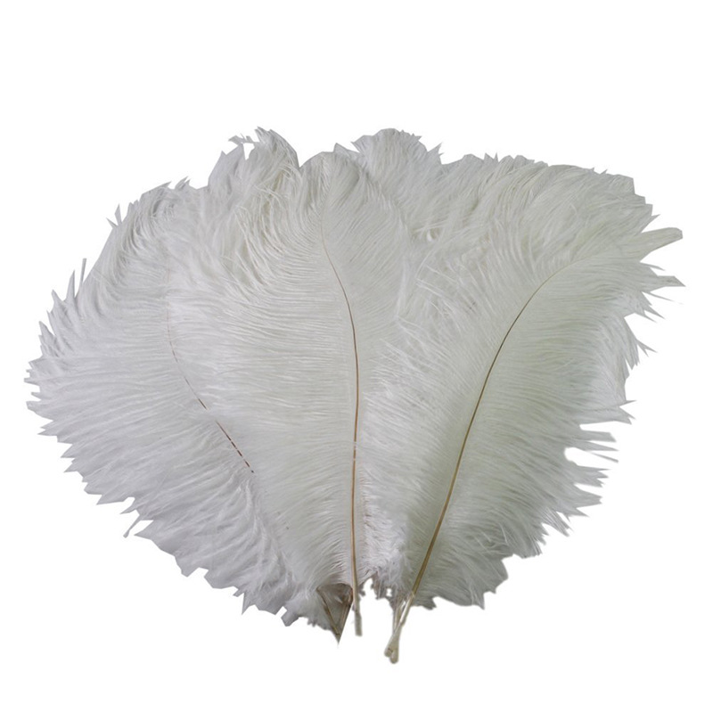 The wedding table flower decoration in The window of Natural Ostrich Feather Hotel in South Africa can be dyed Ostrich hair wholesale 15-20cm The wedding table flower decoration in The window of Natural Ostrich Feather Hotel in South Africa can be dyed Ostrich hair wholesale 15-20cm