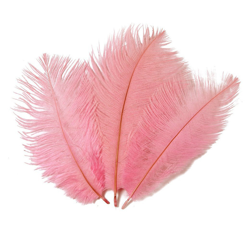 The wedding table flower decoration in The window of Natural Ostrich Feather Hotel in South Africa can be dyed Ostrich hair wholesale 15-20cm The wedding table flower decoration in The window of Natural Ostrich Feather Hotel in South Africa can be dyed Ostrich hair wholesale 15-20cm