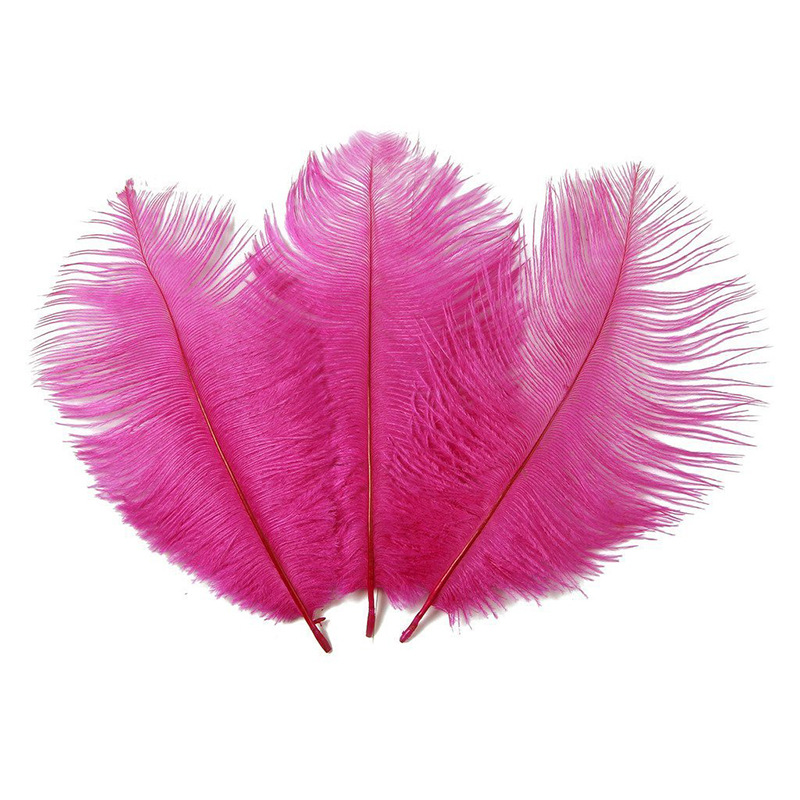 The wedding table flower decoration in The window of Natural Ostrich Feather Hotel in South Africa can be dyed Ostrich hair wholesale 15-20cm The wedding table flower decoration in The window of Natural Ostrich Feather Hotel in South Africa can be dyed Ostrich hair wholesale 15-20cm