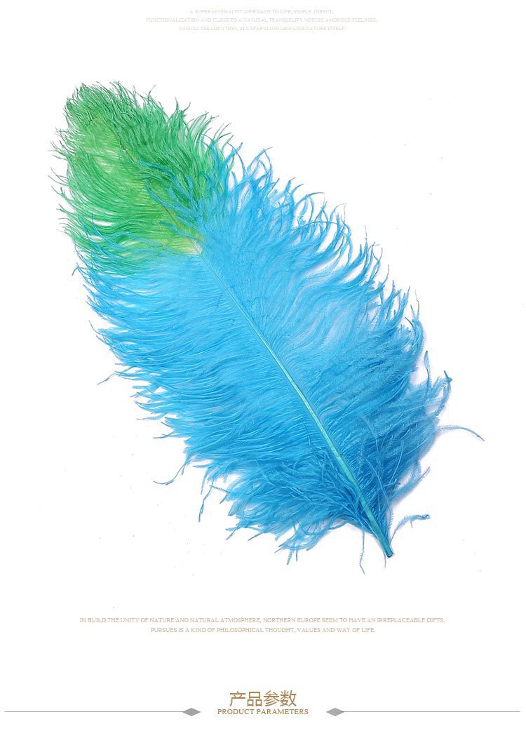 Dream Color Macaron Color Series DIY Bouquet Garland Decoration Wing Feather Tie-Dyed Two-Color Ostrich Hair 55-60cm Dream Color Macaron Color Series DIY Bouquet Garland Decoration Wing Feather Tie-Dyed Two-Color Ostrich Hair 55-60cm