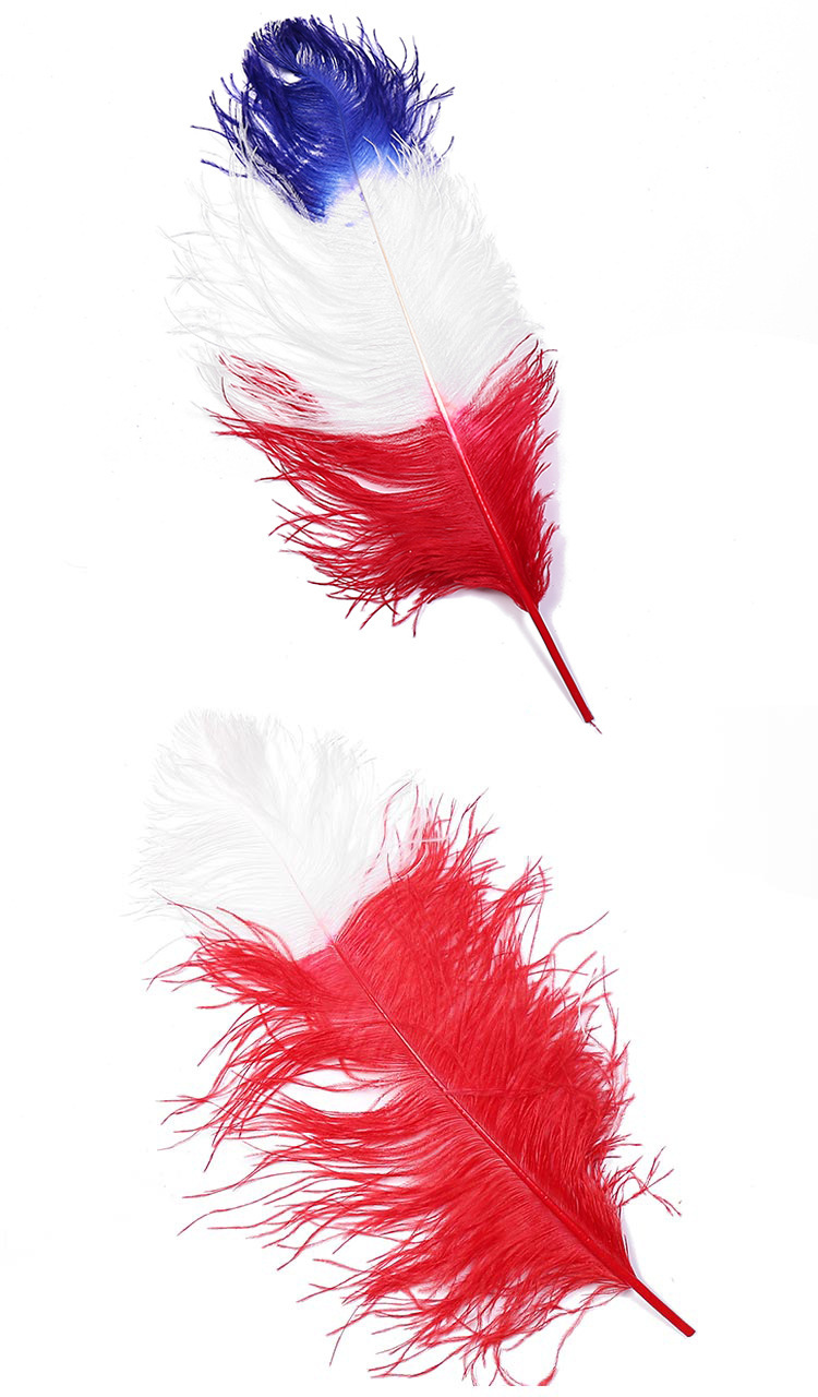 Dream Color Macaron Color Series DIY Bouquet Garland Decoration Wing Feather Tie-Dyed Two-Color Ostrich Hair 55-60cm Dream Color Macaron Color Series DIY Bouquet Garland Decoration Wing Feather Tie-Dyed Two-Color Ostrich Hair 55-60cm