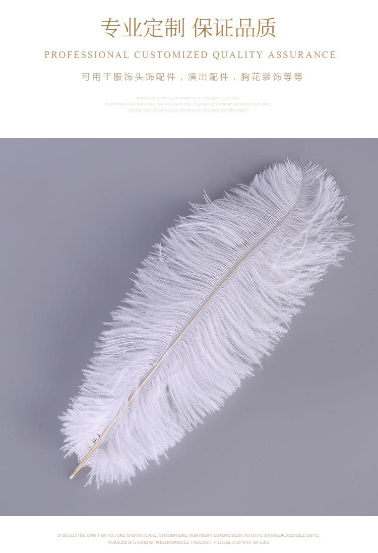 Factory Direct Supply Ostrich Hair 30-35cm Soft Rod Ostrich Feather Decoration Clothing Accessories Multi-Color Dyed Factory Direct Supply Ostrich Hair 30-35cm Soft Rod Ostrich Feather Decoration Clothing Accessories Multi-Color Dyed