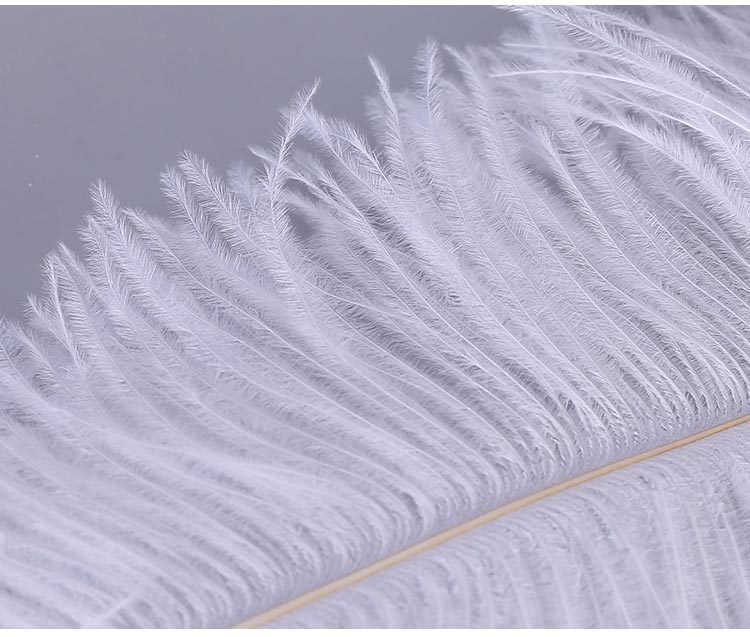 Factory Direct Supply Ostrich Hair 30-35cm Soft Rod Ostrich Feather Decoration Clothing Accessories Multi-Color Dyed Factory Direct Supply Ostrich Hair 30-35cm Soft Rod Ostrich Feather Decoration Clothing Accessories Multi-Color Dyed