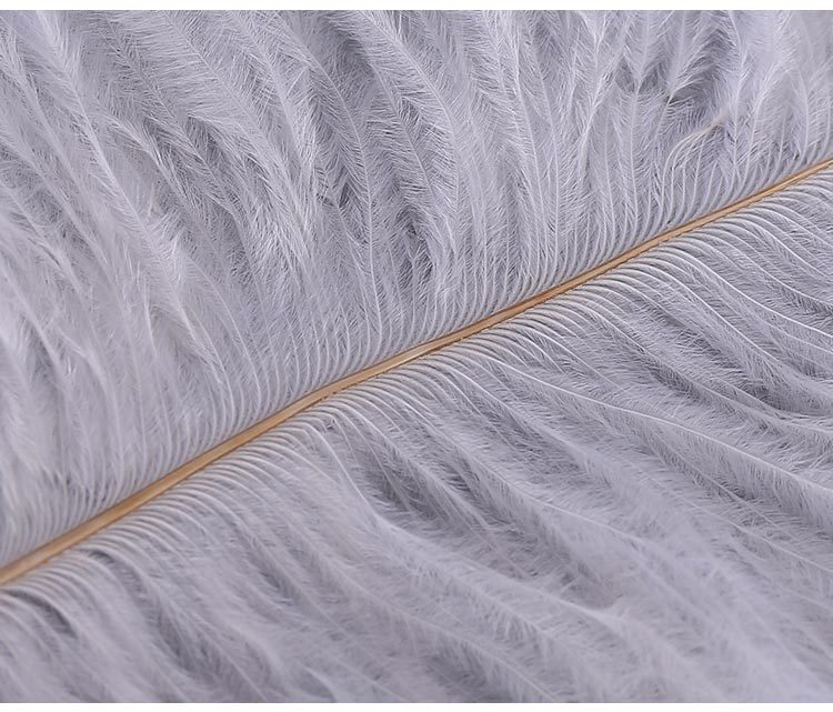 Factory Direct Supply Ostrich Hair 30-35cm Soft Rod Ostrich Feather Decoration Clothing Accessories Multi-Color Dyed Factory Direct Supply Ostrich Hair 30-35cm Soft Rod Ostrich Feather Decoration Clothing Accessories Multi-Color Dyed