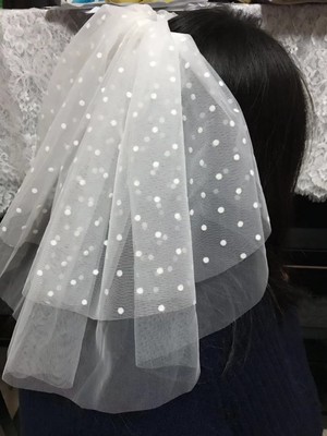 DOT DOT Net Double Layer Small Veil Wedding Headdress Short Veil Trip Shoot Wedding Wedding Veil