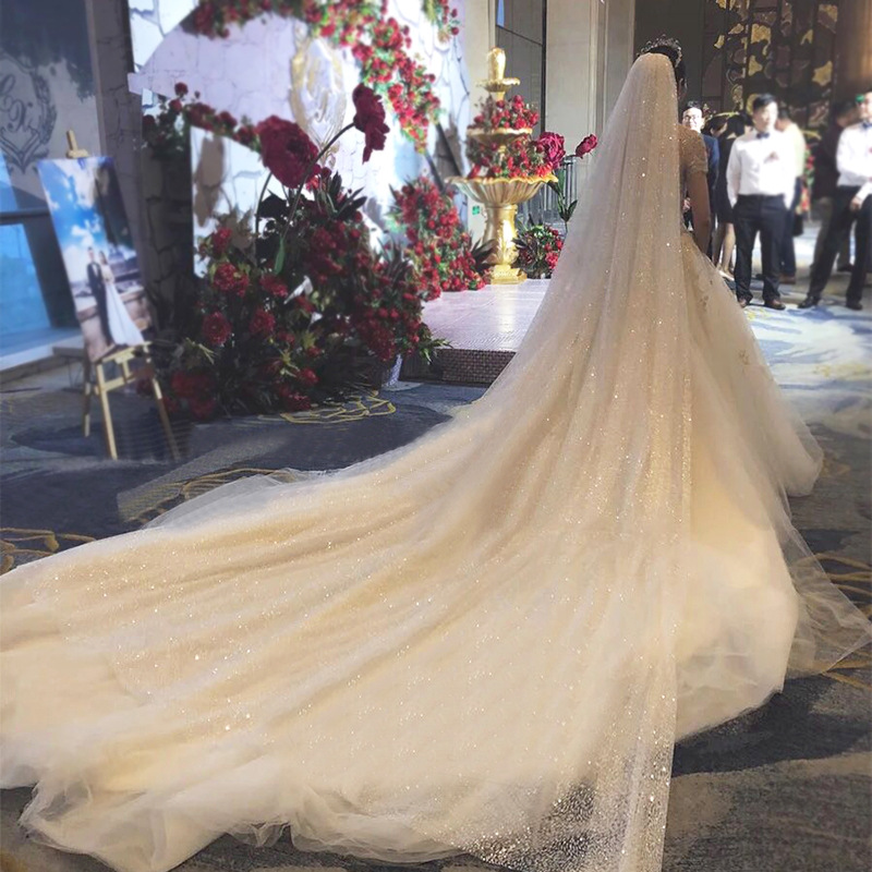 Tiktok Same Veil 2020 New Internet Celebrity Selfie Super Fairy Luxury Veil Bridal Wedding Trailing Shiny Veil Tiktok Same Veil 2020 New Internet Celebrity Selfie Super Fairy Luxury Veil Bridal Wedding Trailing Shiny Veil