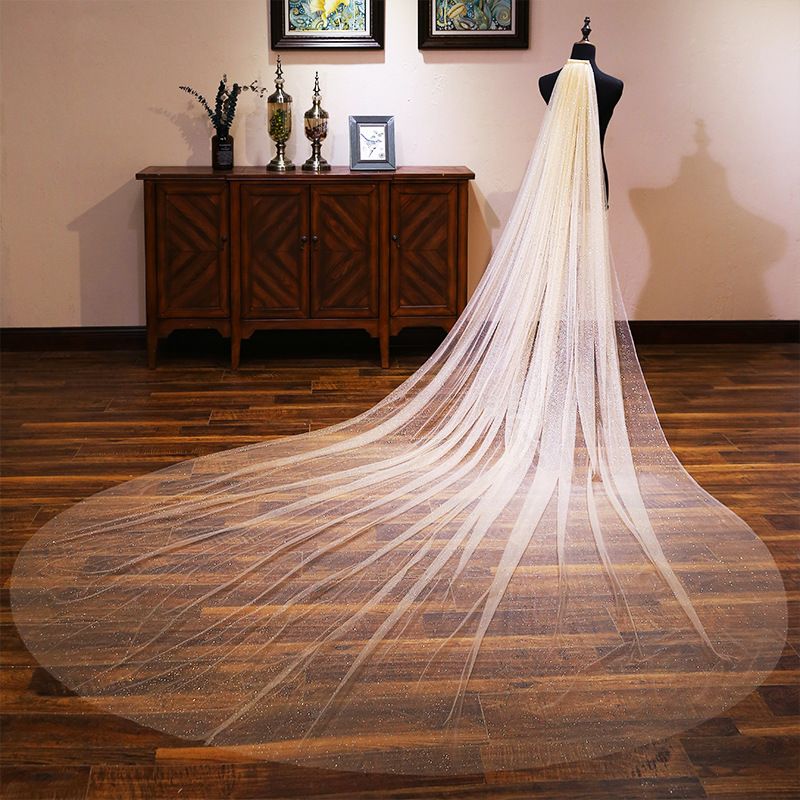 Tiktok Same Veil 2020 New Internet Celebrity Selfie Super Fairy Luxury Veil Bridal Wedding Trailing Shiny Veil Tiktok Same Veil 2020 New Internet Celebrity Selfie Super Fairy Luxury Veil Bridal Wedding Trailing Shiny Veil