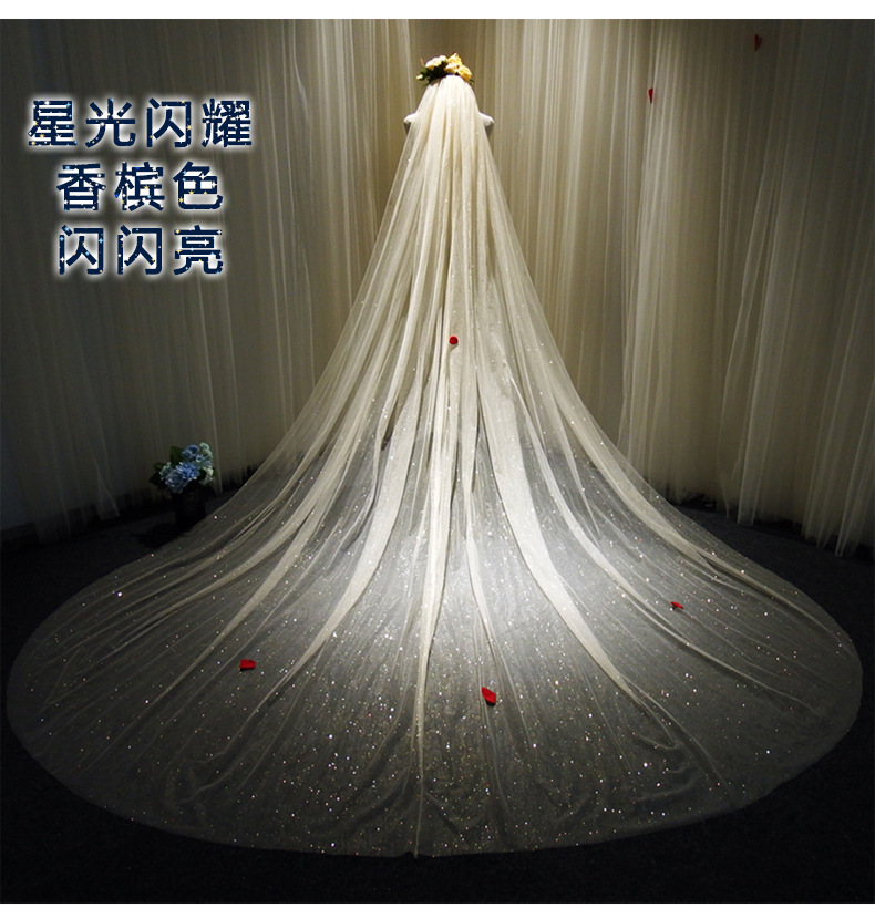 Tiktok Same Veil 2020 New Internet Celebrity Selfie Super Fairy Luxury Veil Bridal Wedding Trailing Shiny Veil Tiktok Same Veil 2020 New Internet Celebrity Selfie Super Fairy Luxury Veil Bridal Wedding Trailing Shiny Veil
