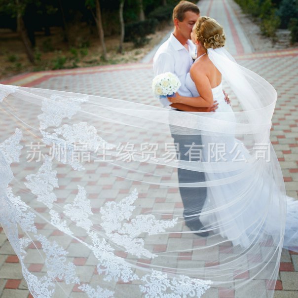2016 Special romantic Decal Soft yarn Length 3 Newton lace bridal Veil Super long Wedding Veil White 2016 Special romantic Decal Soft yarn Length 3 Newton lace bridal Veil Super long Wedding Veil White