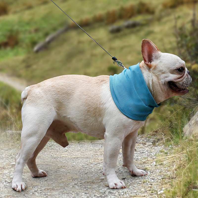 Pet Summer Cold Neck Towel French Bulldog English Bucket Dog Cat Cooling Scarf Triangular Binder Iced Towel