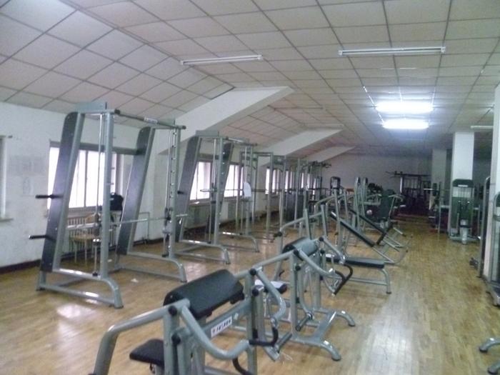 Multifunctional professional trainer gym equipment barbell rack factory direct Multifunctional professional trainer gym equipment barbell rack factory direct