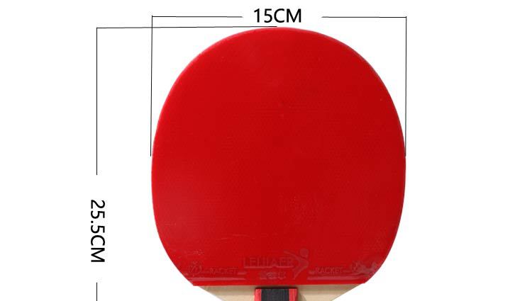Regal,leijiaer,1219, table tennis racket, double-sided reverse glue, backhand