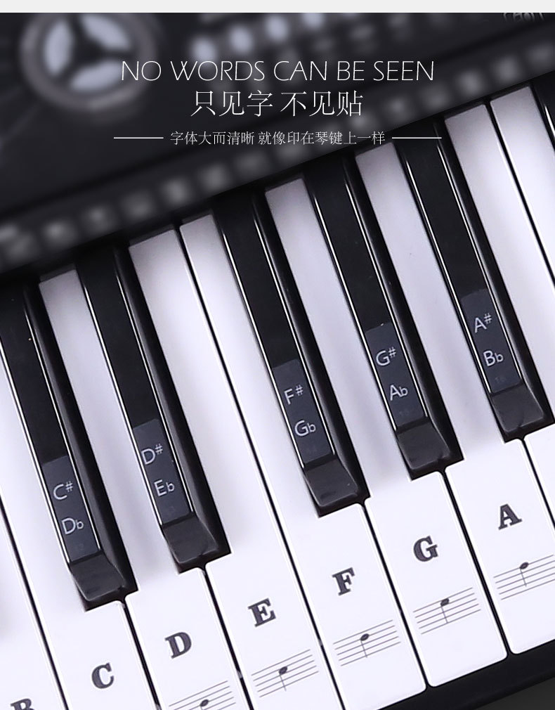 Key Piano Transparent Sticker Electronic Keyboard Keys Plate Hand Roll Steel Keys Sticker Simple Spectrum Scale Sticker