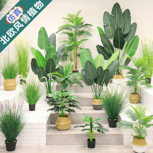 Plant Wall Green Plant Background Wall Milan Plastic Fake Lawn Wall Door Interior Decorative Plant Flower Wall Whole Plant Wall Green Plant Background Wall Milan Plastic Fake Lawn Wall Door Interior Decorative Plant Flower Wall Whole