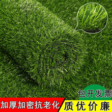 Plant Wall Green Plant Background Wall Milan Plastic Fake Lawn Wall Door Interior Decorative Plant Flower Wall Whole Plant Wall Green Plant Background Wall Milan Plastic Fake Lawn Wall Door Interior Decorative Plant Flower Wall Whole