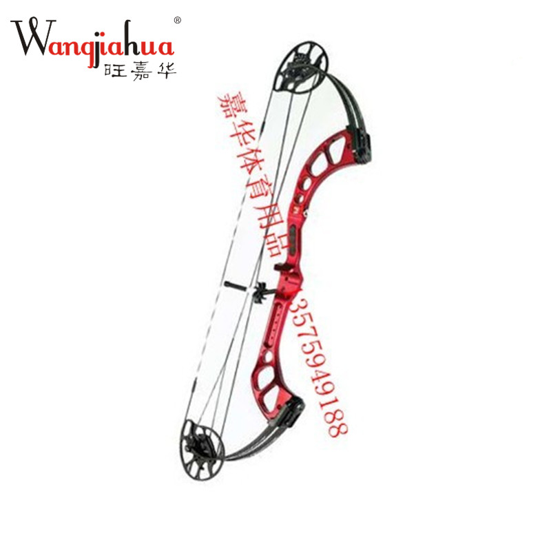 Bow and arrow hunting compound bow bow bow and arrow game trustworthy professional manufacturer 5023