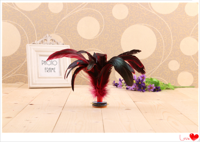 Photographic feather chicken kicking shuttlecock for students' children competition
