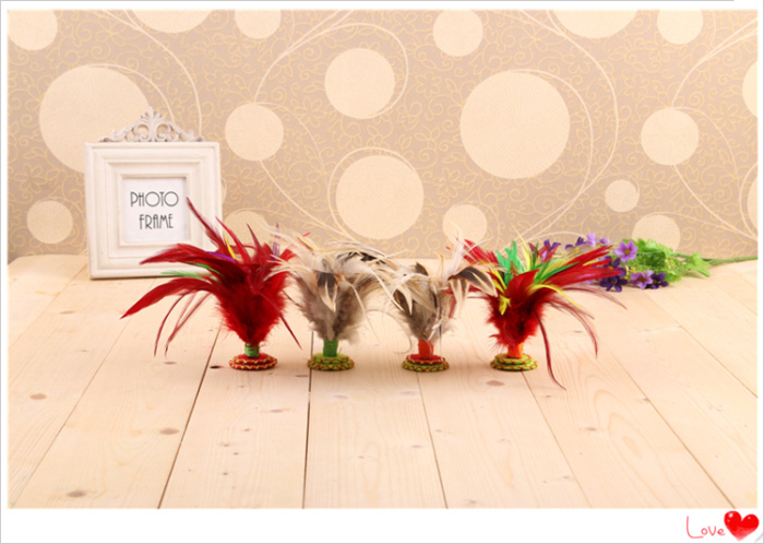Shuttlecock with Shuttlecock and Shuttlecock Shuttlecock with Shuttlecock and Shuttlecock