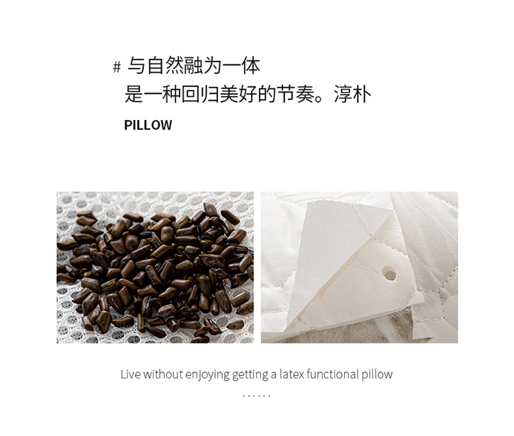 Foreign Trade Pillow Ketsumeishi Latex Pillow Core Hotel Pillow Inner Health Care Pillow Core