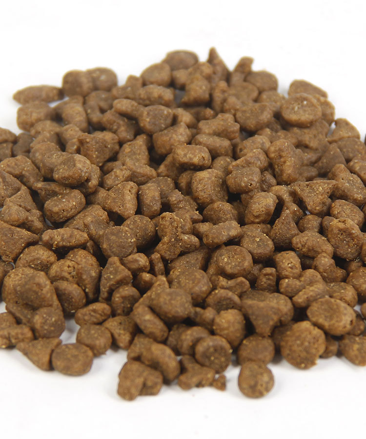 5.8z Newton Cat Food T22 Chicken T24 Salmon 12 Pounds Imported from Canada 5.45kg One Piece Free Shipping