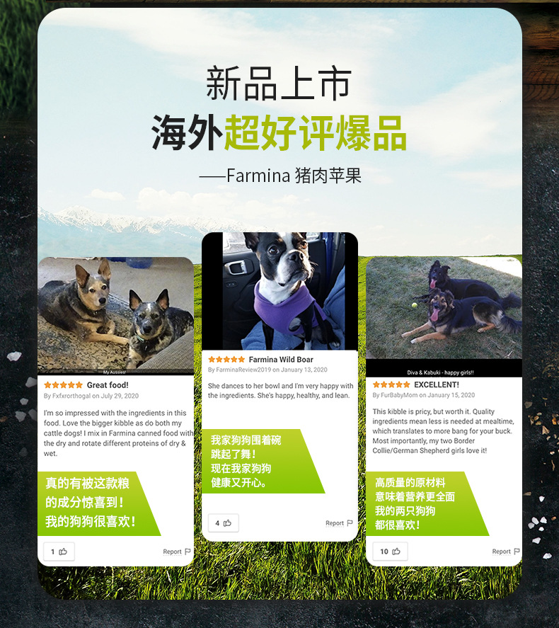 Farmina Famina Imported Dog Food Famina Pork Apple Schmaltz Herring Chicken Pomegranate Small Medium Large Adult Dog