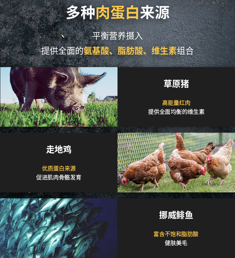 Farmina Famina Imported Dog Food Famina Pork Apple Schmaltz Herring Chicken Pomegranate Small Medium Large Adult Dog