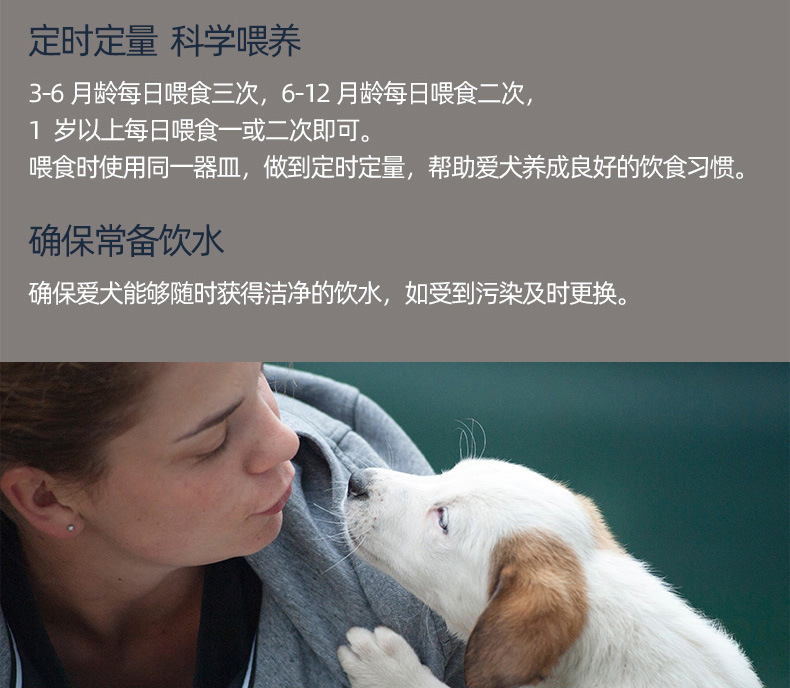 Newton Dog Food One Piece Dropshipping T27t28 Canada Imported Teddy Small Dogs Full Price