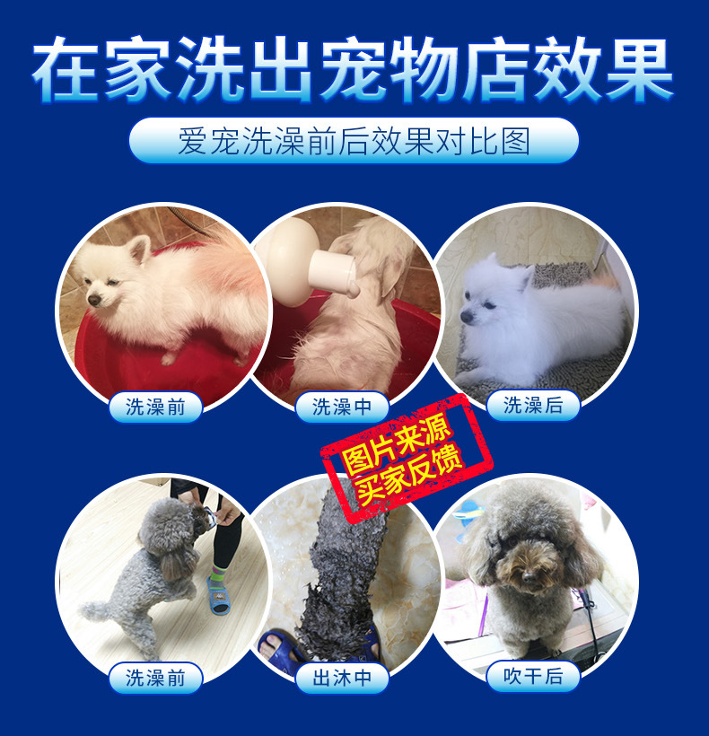 Ferret Shower Gel Dog Fragrance Cat Bath Liquid 500Ml Pet Shampoo Deodorant Cat Shower Gel for Hair Ferret Shower Gel Dog Fragrance Cat Bath Liquid 500Ml Pet Shampoo Deodorant Cat Shower Gel for Hair
