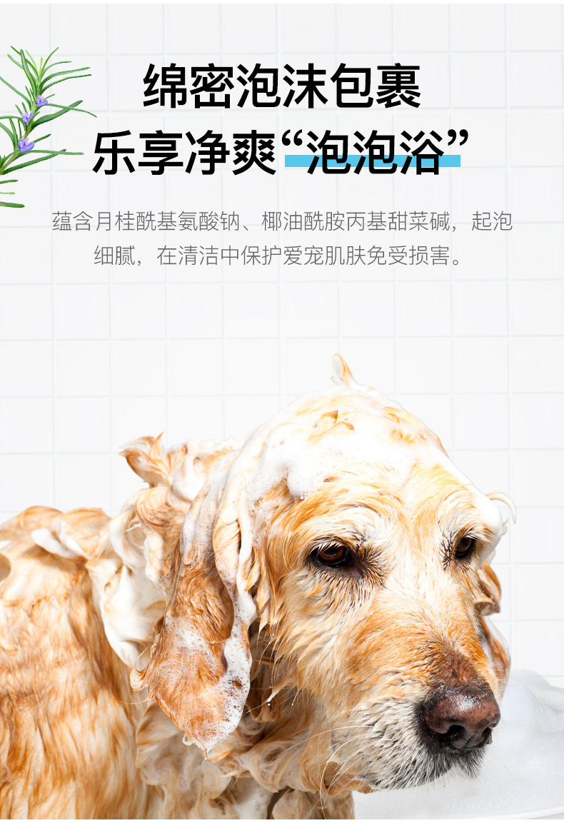 Special for Dogs TeddyGolden Retriever Bichon Samoyed Laughing Pet Dog Shower Gel Shampoo Pet Supplies Whole Supplies Special for Dogs TeddyGolden Retriever Bichon Samoyed Laughing Pet Dog Shower Gel Shampoo Pet Supplies Whole Supplies
