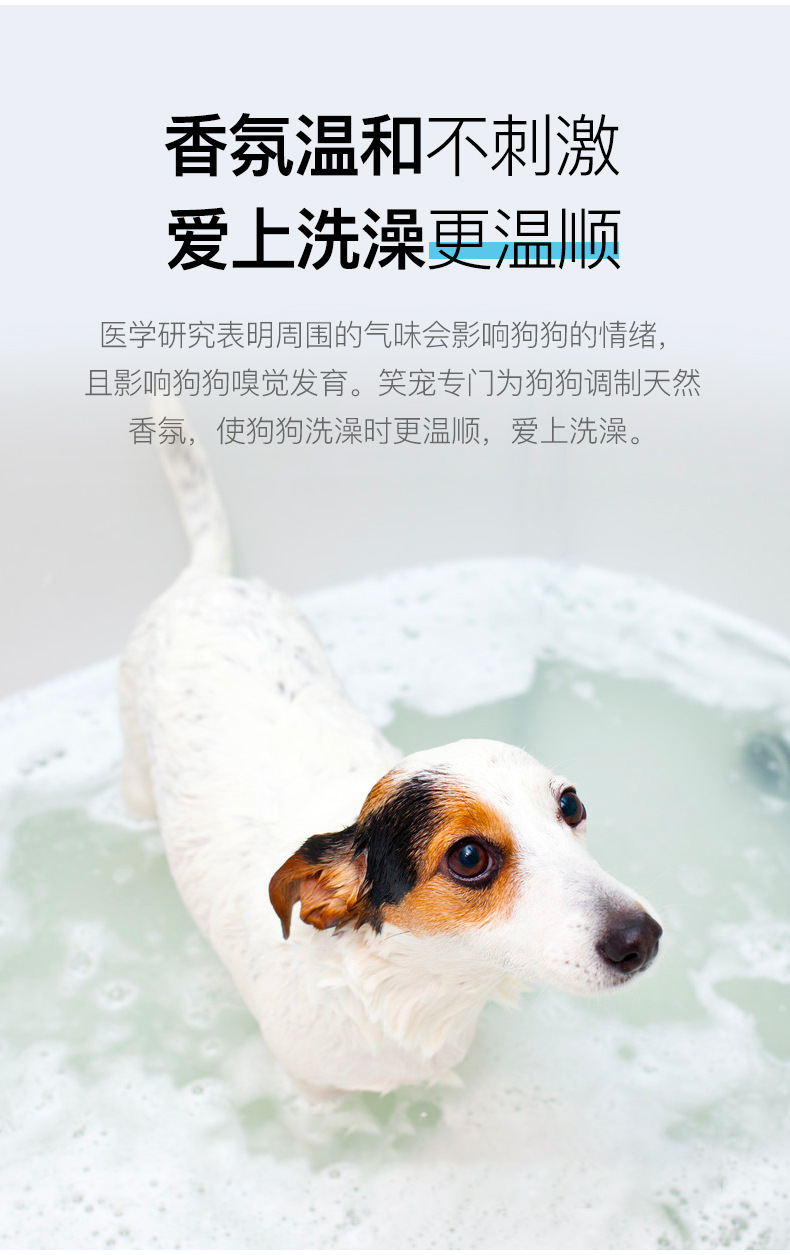 Special for Dogs TeddyGolden Retriever Bichon Samoyed Laughing Pet Dog Shower Gel Shampoo Pet Supplies Whole Supplies Special for Dogs TeddyGolden Retriever Bichon Samoyed Laughing Pet Dog Shower Gel Shampoo Pet Supplies Whole Supplies