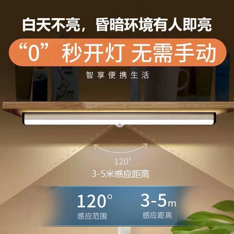 Body Induction Strip USB Charging Small Night Lamp Wardrobe Led Creative BedsideUse Student Learning Indoor Desk Lamp Body Induction Strip USB Charging Small Night Lamp Wardrobe Led Creative BedsideUse Student Learning Indoor Desk Lamp