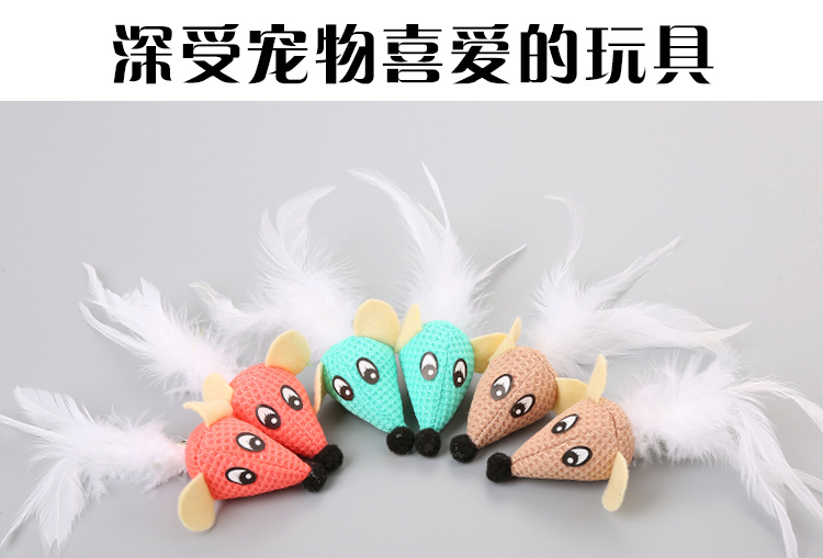 New PET cat toy mouse head with feathers apple Toy cat toy Factory Spot Wholesale Cross-border hot Sales New PET cat toy mouse head with feathers apple Toy cat toy Factory Spot Wholesale Cross-border hot Sales