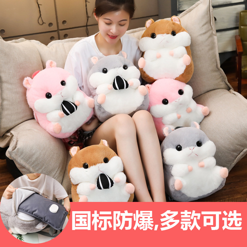 Charging Hot Water Bag National Standard Safe and Explosion Protective Hand Warmer electric warmer