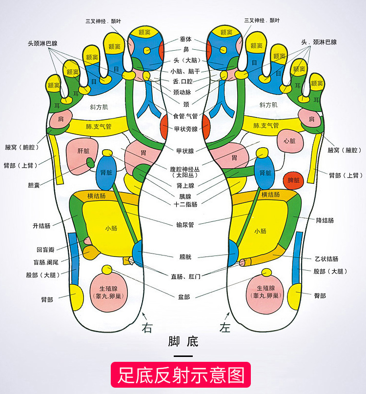 Popular Massage Foot Tub Meeting Sale Gift Foot Bath New Automatic Heating Wash Foot Basin Feet-Washing Basin Popular Massage Foot Tub Meeting Sale Gift Foot Bath New Automatic Heating Wash Foot Basin Feet-Washing Basin
